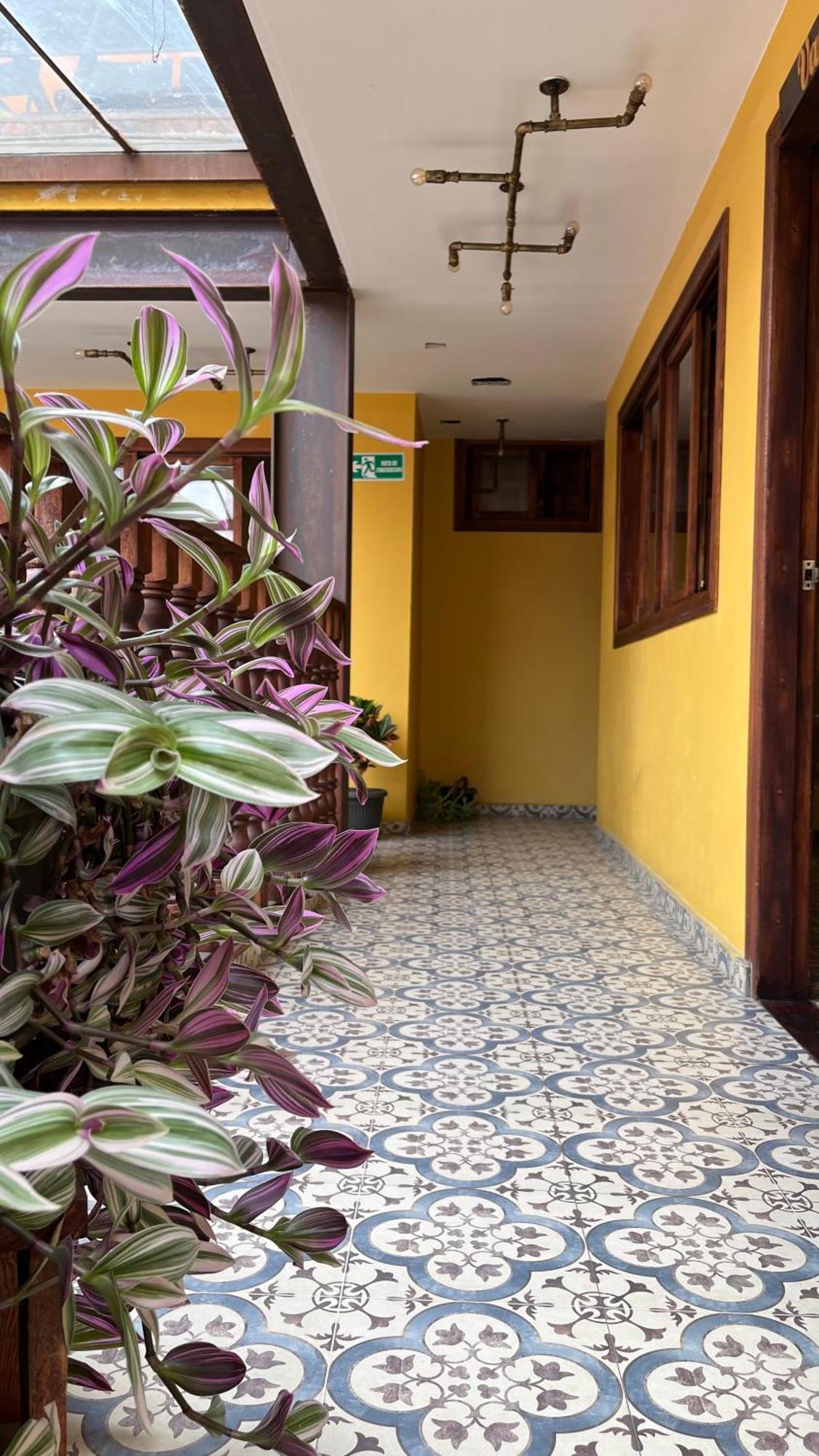 Hostal Casa Astromelia Bogotá Eksteriør billede